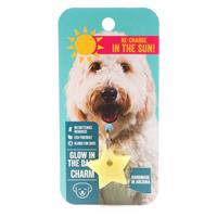 Glow Your Pup Up Glow in the Dark Charm Star Shape I028613