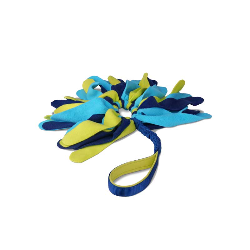 Coachi Tuggi Spider I029248