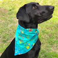 Batik Paws Pet Triangle  I029367