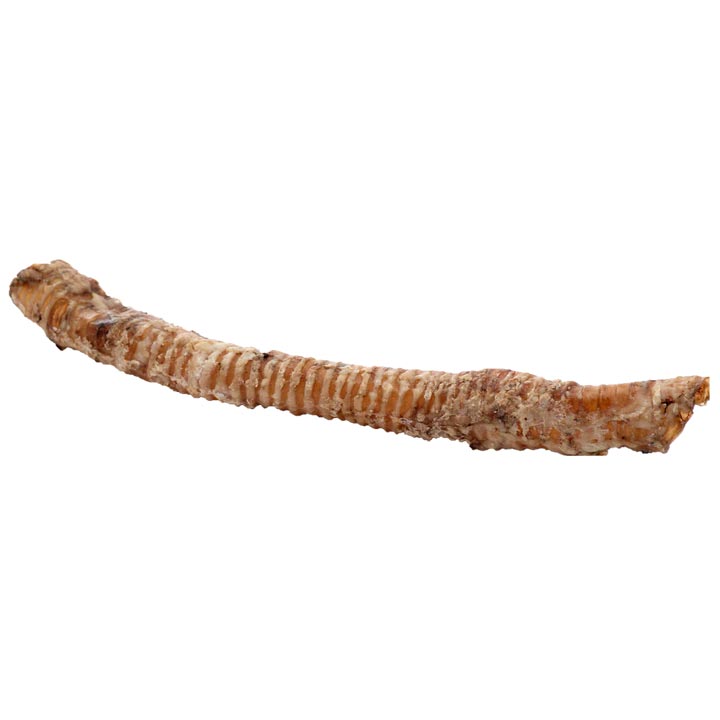 Butcher&#39;s Block Whole Trachea Dog Treats 14-18” I029572