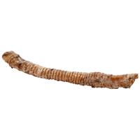Butcher&#39;s Block Whole Trachea Dog Treats 14-18” I029572