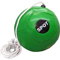 Spot Tether Ball with Rope I031335