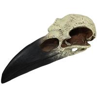 KOMODO RAVEN SKULL HIDE I032411b