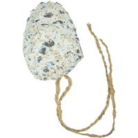 A&amp;E Cage Company Garden Fun Pine Cone with Suet