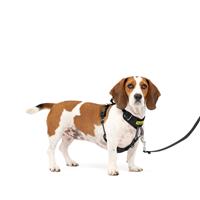 PetSafe Easy Walk Comfort No-Pull Dog Harness Black