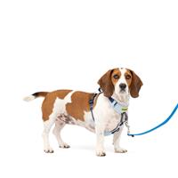 PetSafe Easy Walk Comfort No-Pull Dog Harness Blue