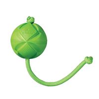 ROGZ Flingz Ball With Rope I021581