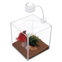 Marina CUBUS Glass Betta Kit