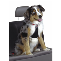 Easy Rider Car Harness 1328B