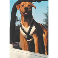 Travelin Dog Car Harness 1394B