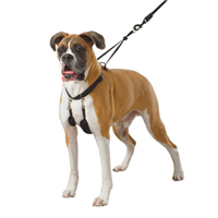 Sporn Training Halter 172e