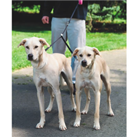 Sporn Double Dog Couplers 17400b