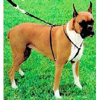 Holt Control Harnesses 178e