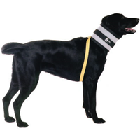 Bite Not Collars 239e