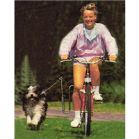 Springer Bicycle Restraint