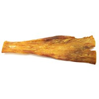 Muscle Bone
