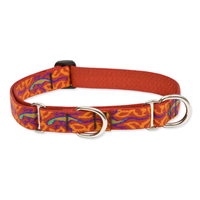 Lupine® Go-Go-Gecko Martingale Collar 1" x 15-22". 26183