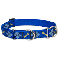 Lupine® Dapper Dog Martingale Collar 1" x 15"-22" 26185