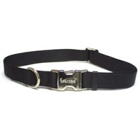 Titan Dog Collar 2829e