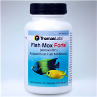 Thomas Labratories Fish Mox® Forte® Amoxicillin 500 mg 30520b_