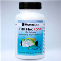 ThomasLabs® Fish Flex Forte® Cephalexin 500 mg 30550b_