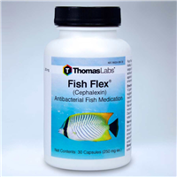 ThomasLabs® Fish Flex® Cephalexin 250 mg 3055b_