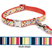 Ribbon Dog Collars and Leashes 3040b