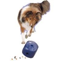 Buster Cube 5 in.