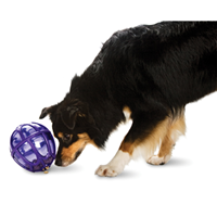 Busy Buddy® Kibble Nibble™ 35618