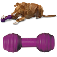 Busy Buddy® Chuckle™ 35619
