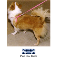Plaid Bones/Polka Dot Harnesses for Dogs 3360b