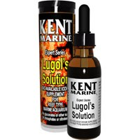 Lugols Solution Iodine 1 oz. 37511