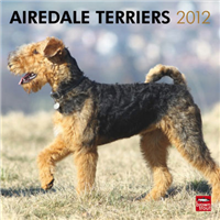 2012 Dog Breed Wall Calendars A - H 4063E