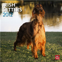 2011 Dog Breed Wall Calendars 4063E
