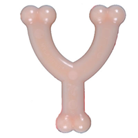 Nylabone® Wishbone Durable Dog Toy  6 in. 4210