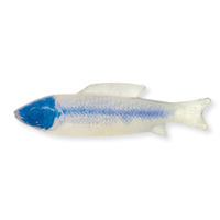 Nylabone Puppy Fish Flexible Chews 4651b