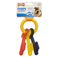 Nylabone Puppy Teething Keys Chew Toy 6019B