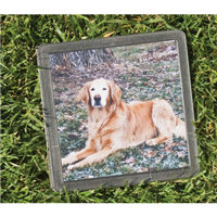 Photo Pet Memory Stone 46714