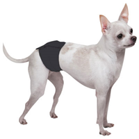 Sam&lsquo;s Dog Hut Solid Male Doggie Wraps