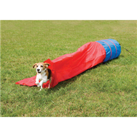 Backyard Agility Playsets