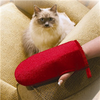 Pet Hair Pick-up Mitt 6843