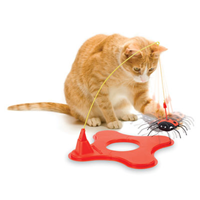 Cataction Magneticat 71100