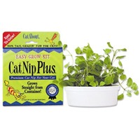 Cat Nip Plus® Premium Fresh Catnip 7245