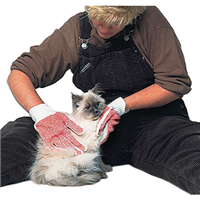Cat Grooming Glove, Pair by Groomaster ®