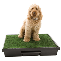 The Pet Loo Dog Litter System 15501b