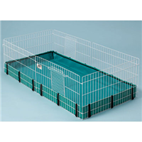 Midwest Guinea Habitat Z02777301020