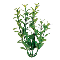 Tetra ® WaterWonders ™ Hygrophila Aquarium Plant 9 in. Z04679819124