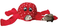 Marshall Octo-Play for Ferrets and Rats Z76650100300