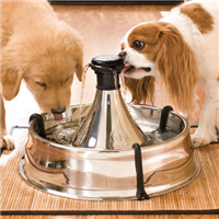 Drinkwell® 360 Pet Fountain 40623b