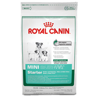 Royal Canin® Mini Starter Mother & Babydog Dry Dog Food 111980b